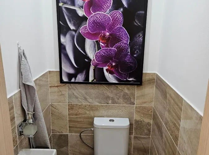 Διαμέρισμα U Petra *